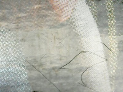 SN33606