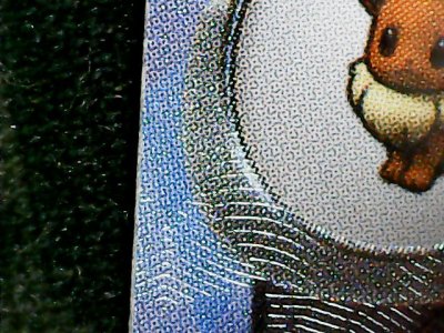 SN33636