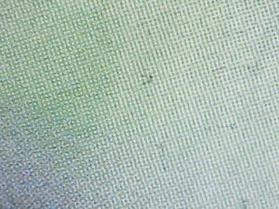 SN33636
