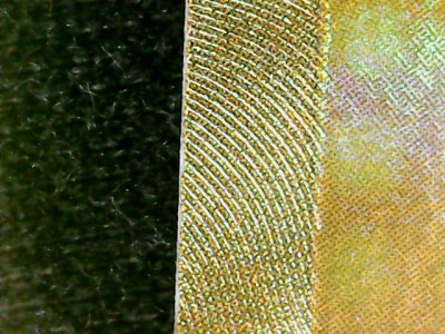 SN33677