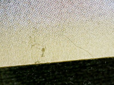 SN33697