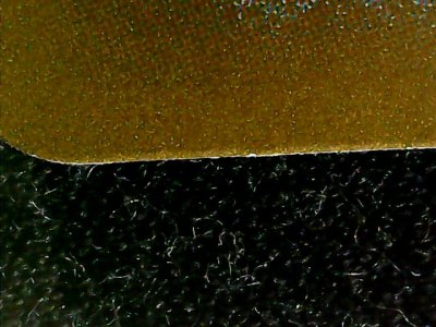 SN33733