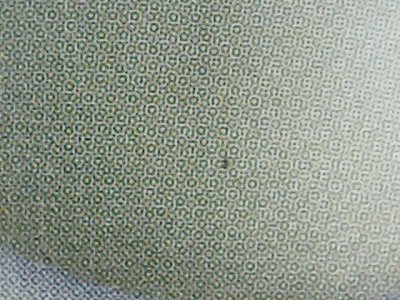 SN33744
