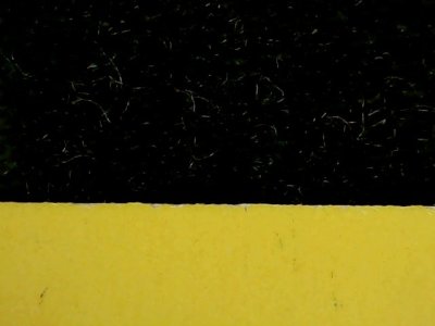 SN33775