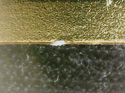SN33781