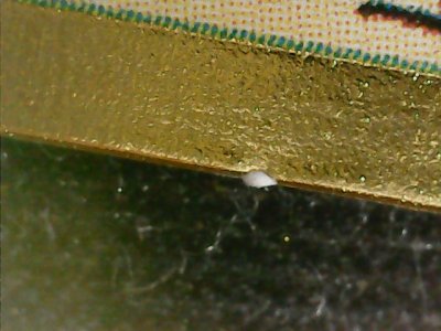 SN33789