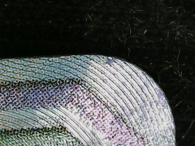 SN33798