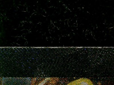 SN33768