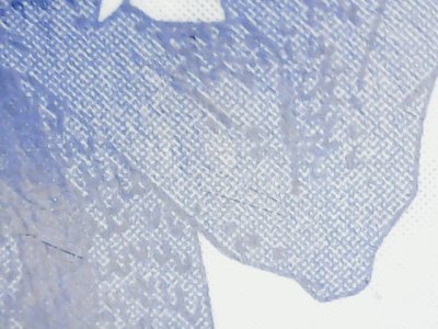 SN33838