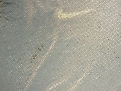 SN33882