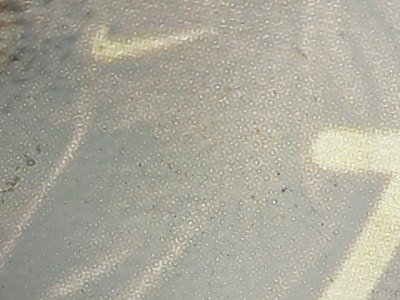 SN33882