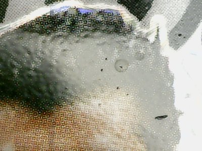 SN33882