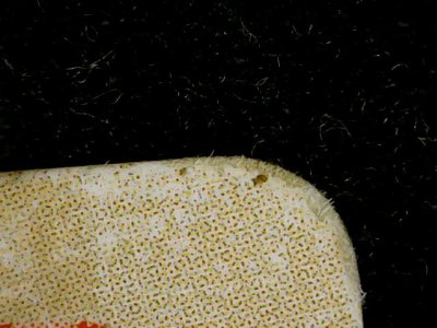 SN33945