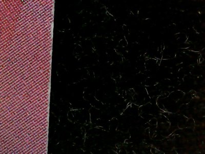 SN33954