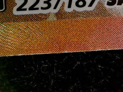 SN33954