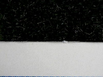 SN33961