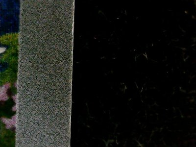 SN33976