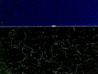 SN33978