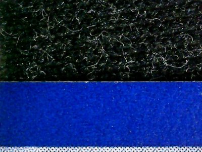 SN33981