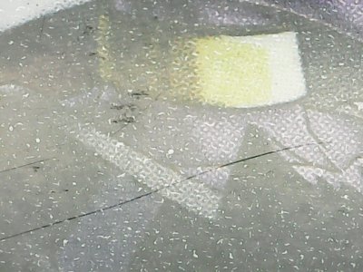 SN34019