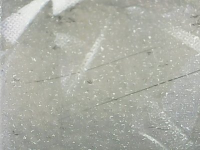 SN34019