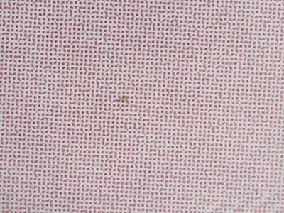 SN34014