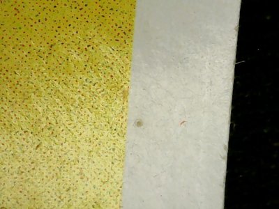 SN34046