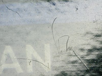 SN34174