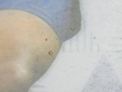 SN34174