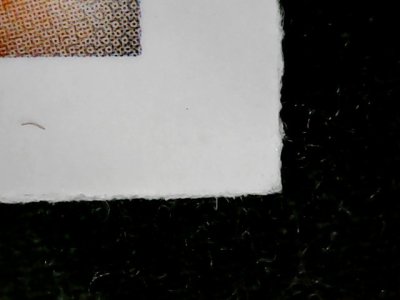 SN34175