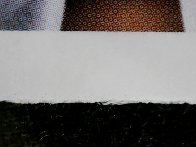 SN34175