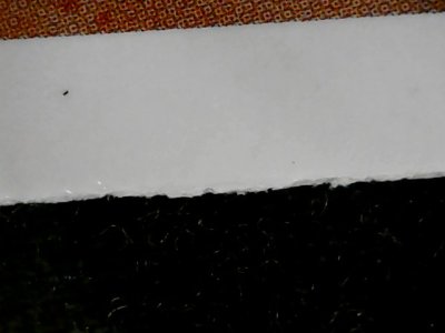 SN34175