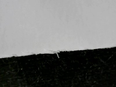 SN34175