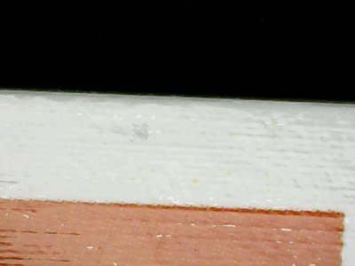 SN34177