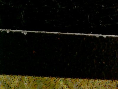 SN34217