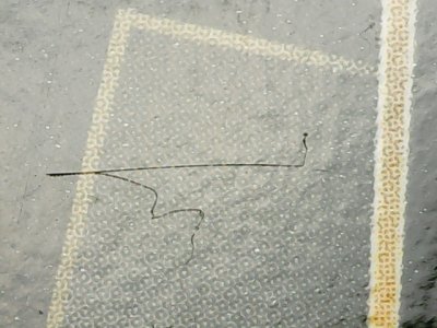 SN34219