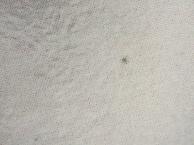 SN34321