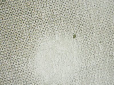 SN34344
