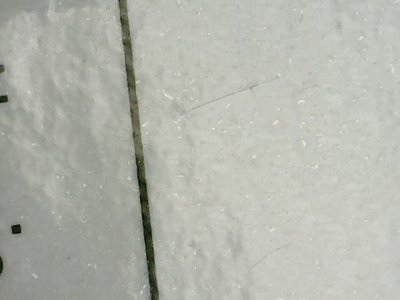 SN34359