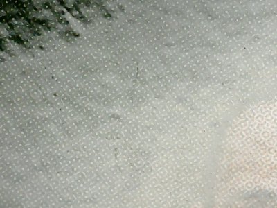 SN34484