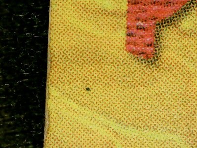 SN34494