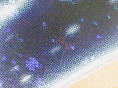 SN34495