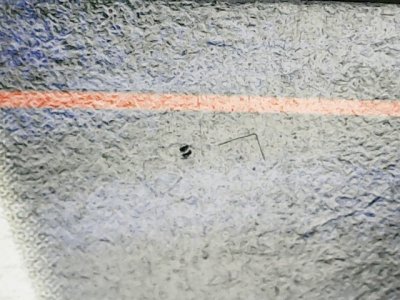 SN34498
