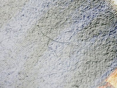 SN34498