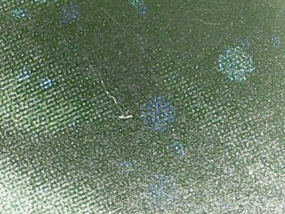 SN34518