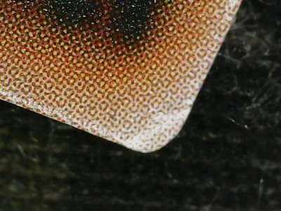 SN34733