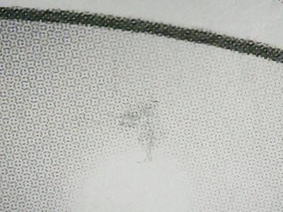 SN34834