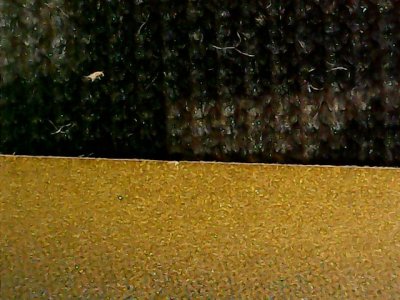 SN34856