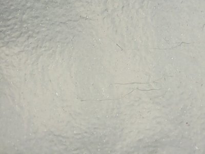SN34890