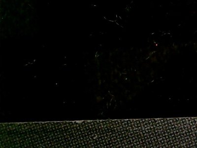 SN34891